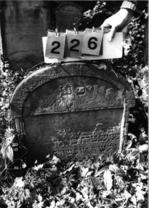 Grabstein 226 (Index: 99791566) Material: Sandstein Zustand: abgeblättert mit Textverlust, Stele eingesunken Maße HxBxT: 58x60x8 cm Beschreibung: Stele, Segmentbogenabschluß, rechteckiges Schriftfeld eingetieft: Grabstein 226