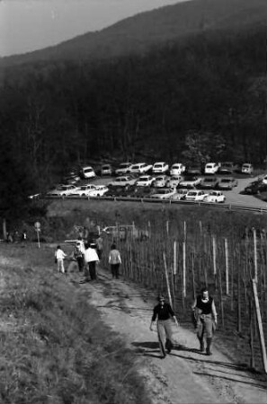 "Eck": Wald Parkplatz am "Eck", von oben