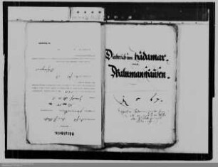 Dietrich von Hadamar ./. Familie von Waldmannshausen: Erbschaftssache