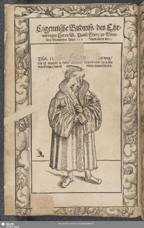 Eigentliche Bildniß des Ehrwirdigen Herrn D. Pauli Eberi zu Witteberg Abconterfect Anno 1564. Seines alters jm 53.