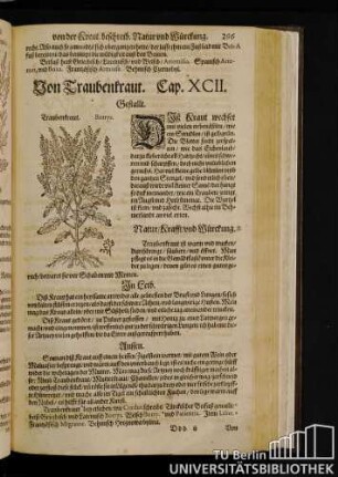 Cap. XCII. Von Traubenkraut.