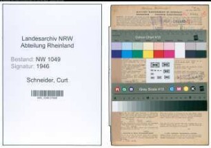 Entnazifizierung Curt Schneider , geb. 11.04.1892 (Vertreter)