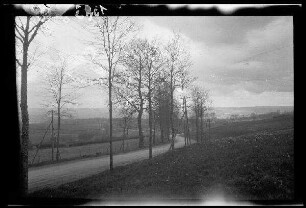 Nicht identifizierbare Ortschaft bei Saint-Quentin (?) (Dep. Aisne, Frankreich): baumgesäumte Landstraße durch leicht hügeliges Ackerland, im Hintergrund eine breite Anhöhe