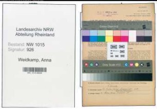 Entnazifizierung Anna Weidkamp , geb. 01.06.1901 (Kaufmaennische Angestellte)
