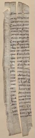 Breviarium in psalmos - BSB Clm 29404(14