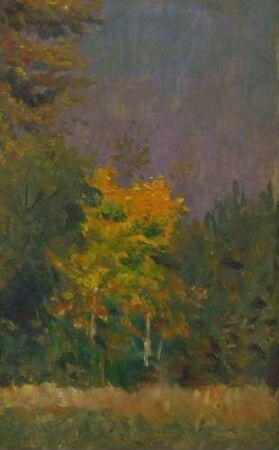 Herbstbäume im Park (Studie)
