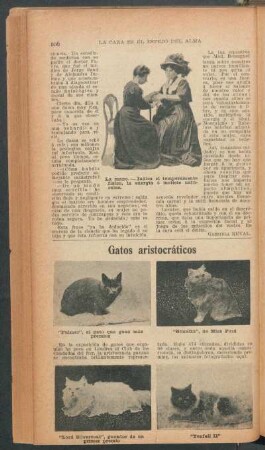 Gatos aristocráticos - [Ilustración]