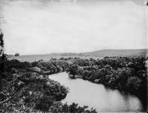 Fluss in der Pampa : Blick auf einen Fluss in der argentinischen Pampa in der Nähe von Rio Cuarto