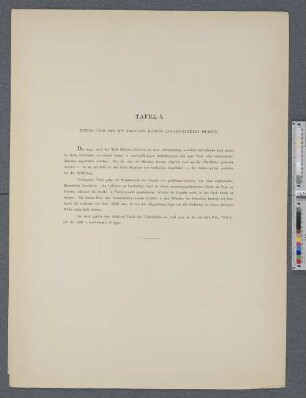 Tafel 5. Tiefes Grab der mit falschen Köpfen ausgestatteten Mumien.