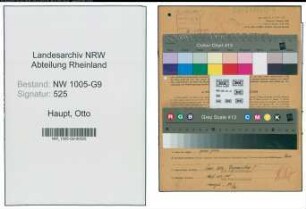 Entnazifizierung Otto Haupt , geb. 01.04.1895 (Bauunternehmer)