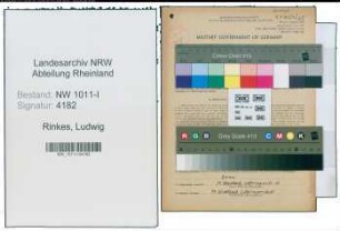 Entnazifizierung Ludwig Rinkes , geb. 18.04.1910 (Maler)