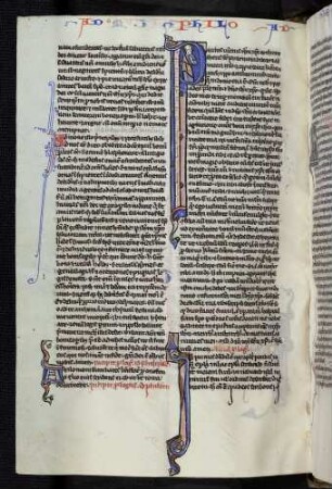 Historisierte Initiale (Philomenom 1,1): P(aulus vinctus Iesu Christi et Timotheus): Apostel Paulus. Figurenintiale: I(n primis): Drache
