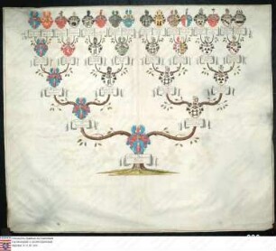 Ahnenprobe des Ludwig v. Rotzmann (auch Rotsmann). - ausgefertigt 1755 Juli 28, Pergament