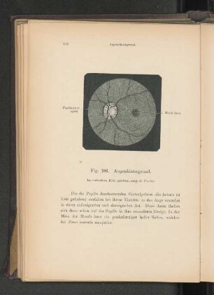 Fig. 108. Augenhintergrund.