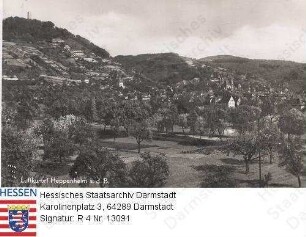 Heppenheim an der Bergstraße, Panorama mit Starkenburg