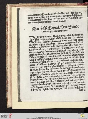 Das sechst Capitel