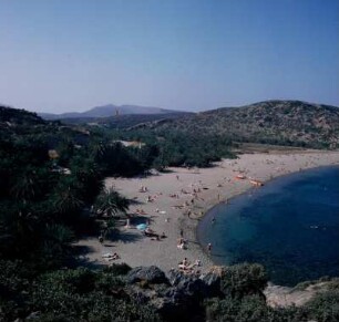 Palmenwald von Vai : Vai auf Kreta. Palmenbucht. Kretische Dattelpalme (Phoenix theophrasti), Aufnahme 1979