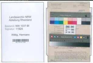 Entnazifizierung Hermann Wittig , geb. 14.06.1905 (Ingenieur)