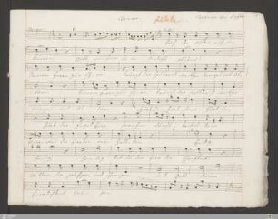 Tenor