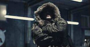 Wolf unter Schafen