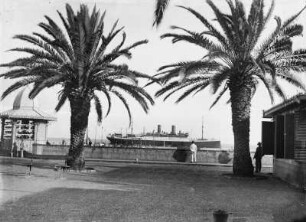 Madeira? Blick von der Uferpromenade zum Passagierschiff
