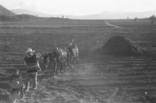 Bei Mexiko-Stadt (Lateinamerika-Aufenthalte 1934/1942 – 5. Mexiko 1937)