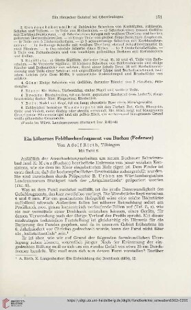 Neue Folge 16: Ein hölzernes Feldflaschenfragment von Buchau (Federsee)