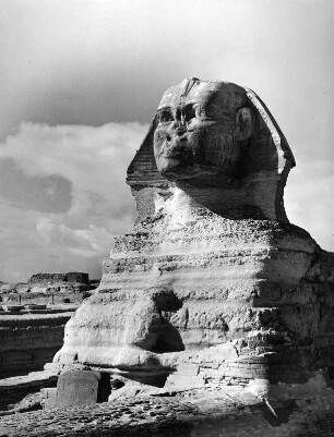 Sphinx der Chephrenpyramide : Reisefotos Ägypten. Gizeh. Sphinx der Chephrenpyramide