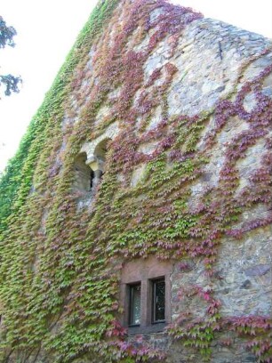 Graues Haus