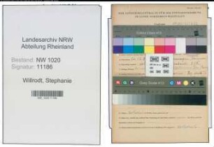 Entnazifizierung Stephanie Willrodt , geb. 26.12.1889 (Lehrerin)