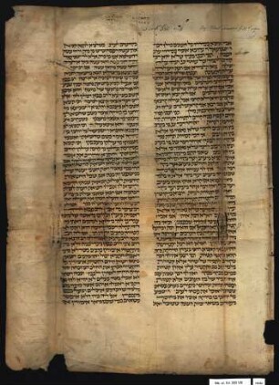 Talmud-Fragment : Pesaḥim (Talmud Bavli)