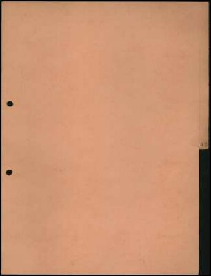 Trennblatt Nr. 13