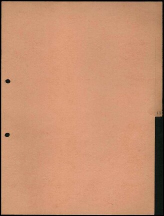 Trennblatt Nr. 13