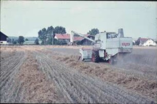 Fotografie: Erntetechnik, Mähdrescher selbstfahrend