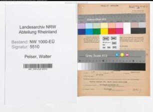 Entnazifizierung Walter Pelser, geb. 11.03.1897 (Zahnarzt)