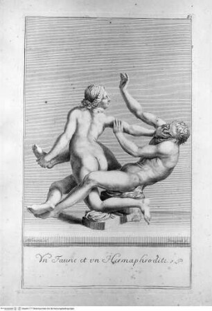 Recueil des marbres antiques qui se trouvent dans la galerie du roy de Pologne à DresdenTafel 80 - Un Faune et un Hermaphrodite