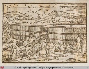 Der Einzug der Tiere in die Arche.