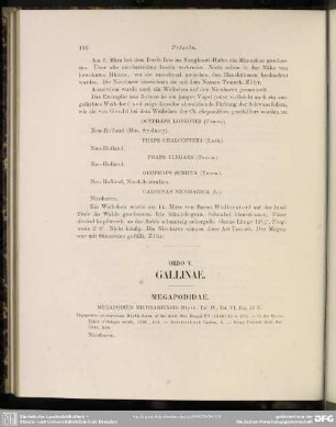 Ordo V. Gallinae
