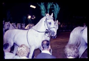 Zirkus Althoff 20.8.65.