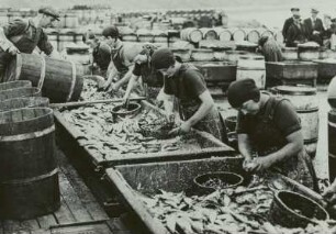 Technikgeschichte | Agrar- und Lebensmitteltechnik | Fischwirtschaft | Hochseefischerei