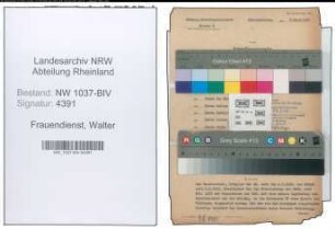 Entnazifizierung Walter Frauendienst , geb. 14.11.1906 (Ingenieur)