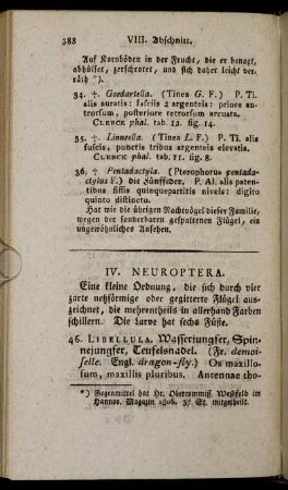 IV. Neuroptera