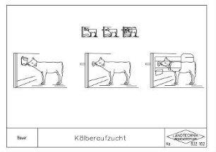 Kälberaufzucht
