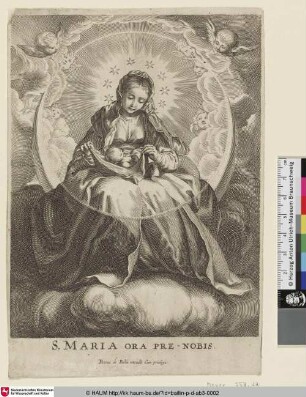 [The Virgin on the Crescent; Die Madonna auf der Mondsichel]