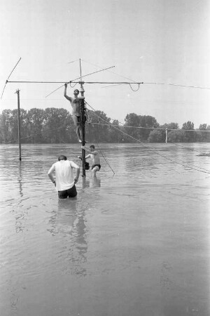 Hochwasser des Rheins.