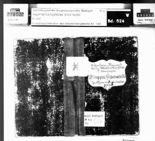 Offiziere 1883-1893 und Kapitulanten 1879-1887