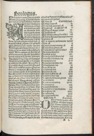 [Incipit liber primus]