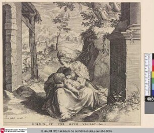 [Die Madonna m. d. schlafenden Kinde]