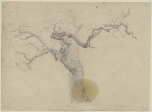 Kahler Baum