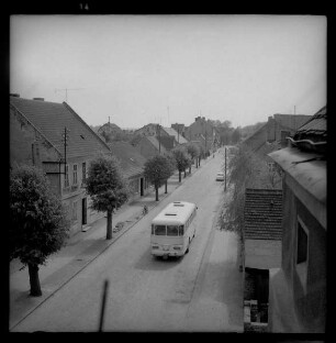 Die Frankfurter Straße in Müllrose gesäumt von Linden